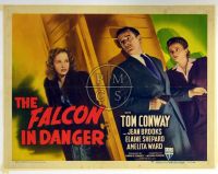 THE FALCON IN DANGER