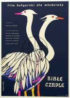 Birds Come Flying To Us