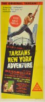 Tarzan's New York Adventure