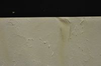 Close up shot of the verso shows detail of textured paper and what remains of the mat-board substrate.