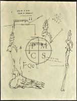 LEG OF A DOG, 1983 BY JEAN-MICHEL BASQUIAT