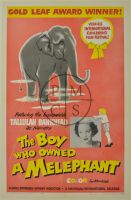 Boy Who Owned A Melephant