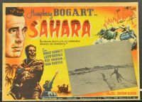 FINAL PHOTOS TABREZ NOORANI