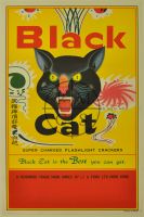 Black Cat Fireworks