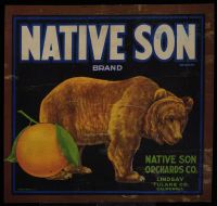 Native Son