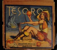 Tesoro (Poster)