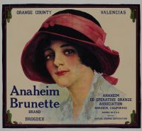 Anaheim Brunette - After (Poster)