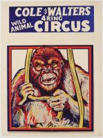 Circus