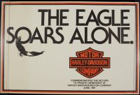 The Eagle Soars Alone