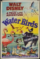 Water Birds