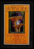 Grateful Dead’s Taj Mahal
