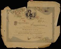 Certificate of Promotion