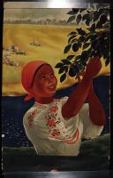 Russian Fruit Picker