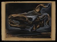 Goat's Skull on Table 