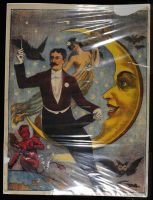 Stock Attraction with Moon