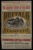 Buffalo Stampede