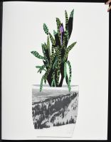 Plant silkscreen