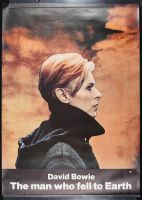 The Man Who Fell To Earth
