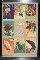 Provide For The Future