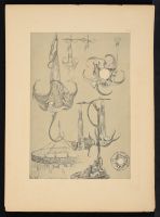 Alphonse Mucha PL 70