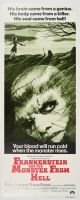 Frankenstein and the Monster from Hell