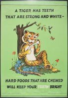 A Tiger Has Teeth