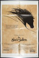 The Black Stallion