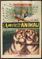 l'Amore Tra Gli Animali
