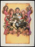The Cannonball Run