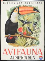 Avifauna