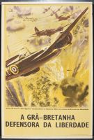 Defensora Da Liberdade