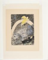 L'arc en ciel, da La Bible