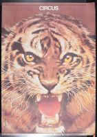 Circus