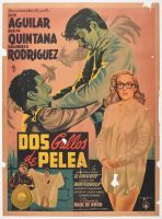 Dos Gallos de Pelea