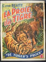 La Proie Du Tigre