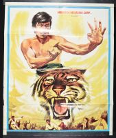 Martial Arts Tiger
