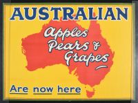 Australian Apples, Pears & Grapes