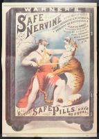 Warner's Safe Nervine