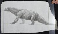 Komodo Dragon Dino Sketch