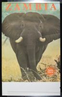 Zambia Elephant 