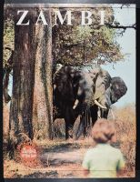 Zambia Elephants w/ Kid 
