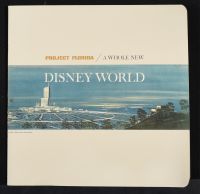 Disney World Book