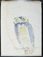 Blue Owl