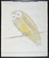 Yellow Owl