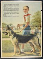 Russian boy with dog