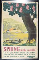 Spring in the Country
