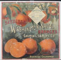 Washington Naval Oranges