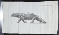 Dinosaur