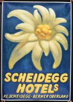 Scheidegg Hotel