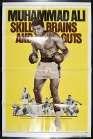 Skill Brains and Guts